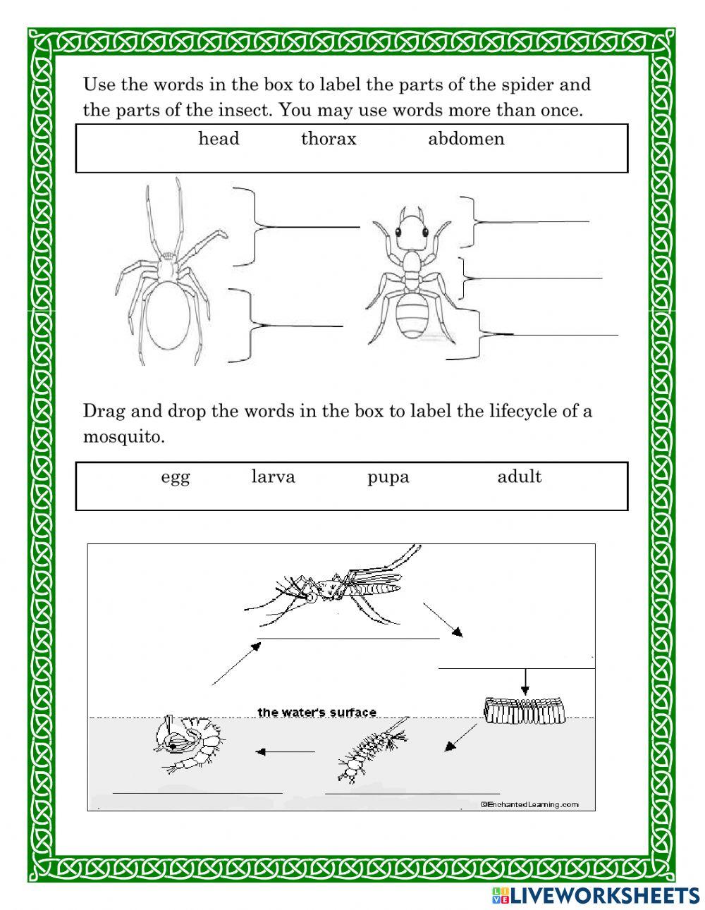 Science Mid Term Quiz