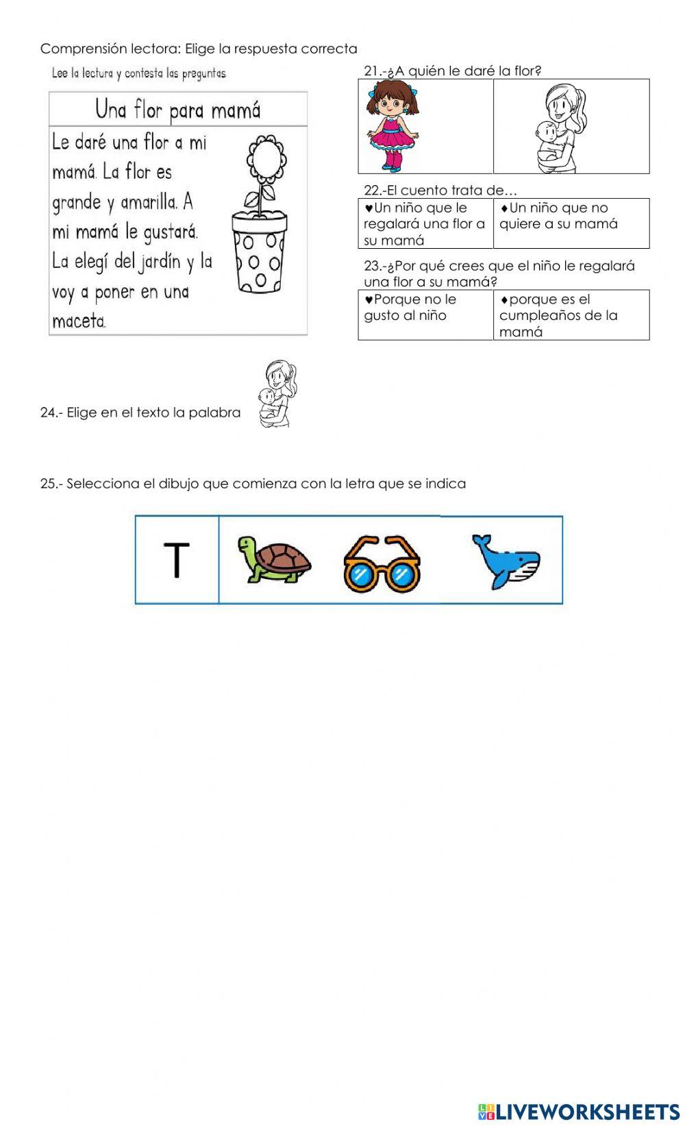 Evaluación trimestral Español
