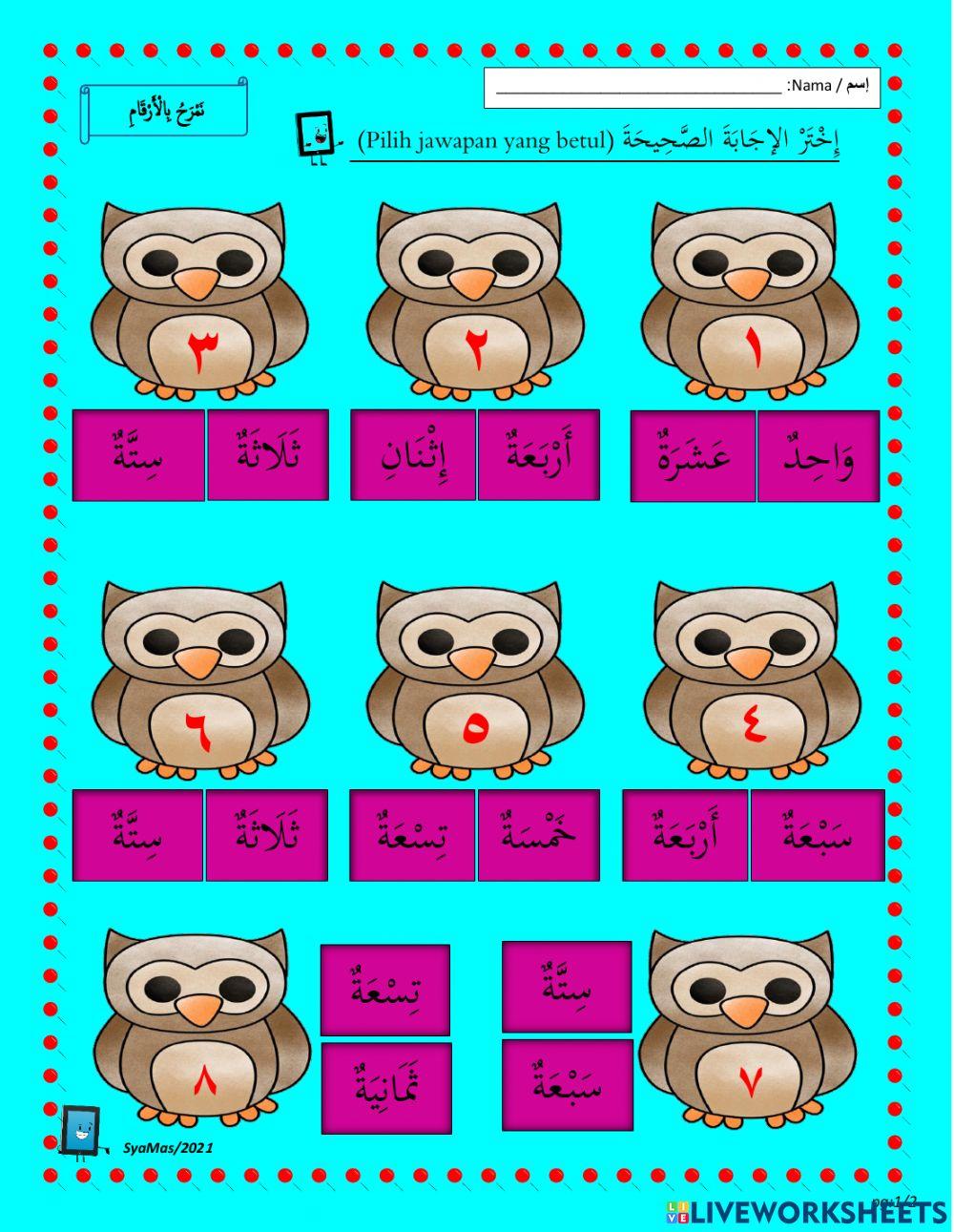 اللغة العربية للصف الأول