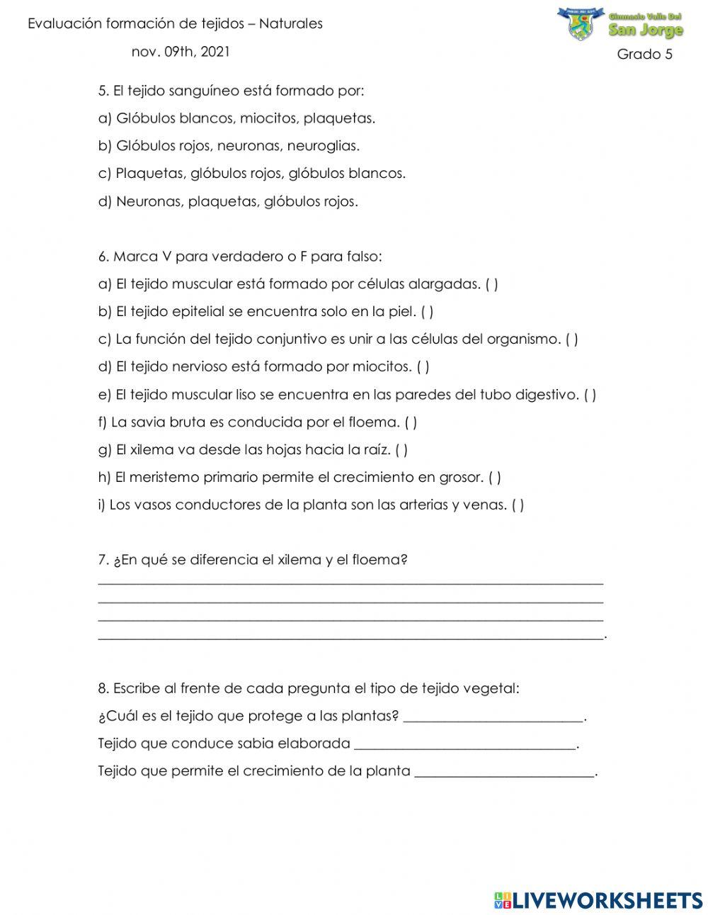 Evaluación formación de tejidos Evaluación formación de tejidos