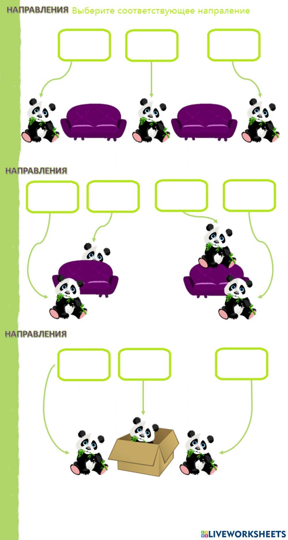 Направления