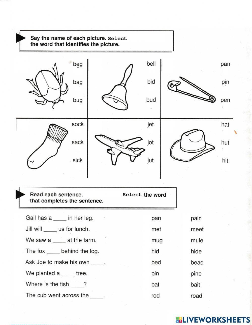 Phonics Midterm Quiz