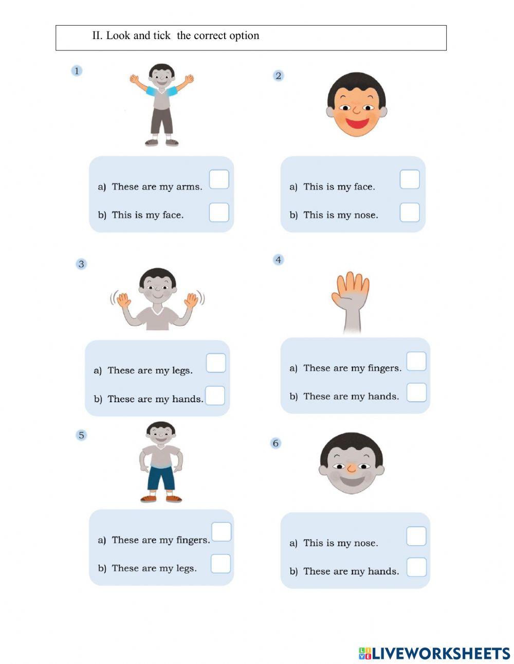 Unit 5 : This is my nose