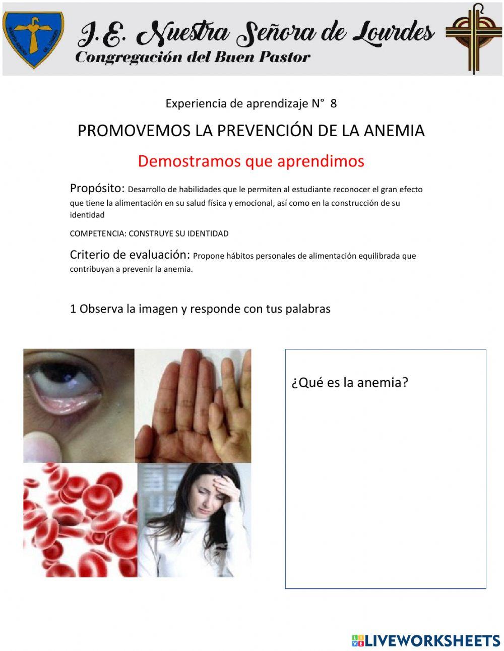 Como prevenir la anemia