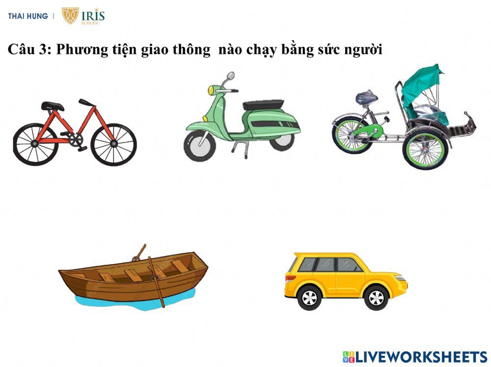 PBT PTGT đường bộ