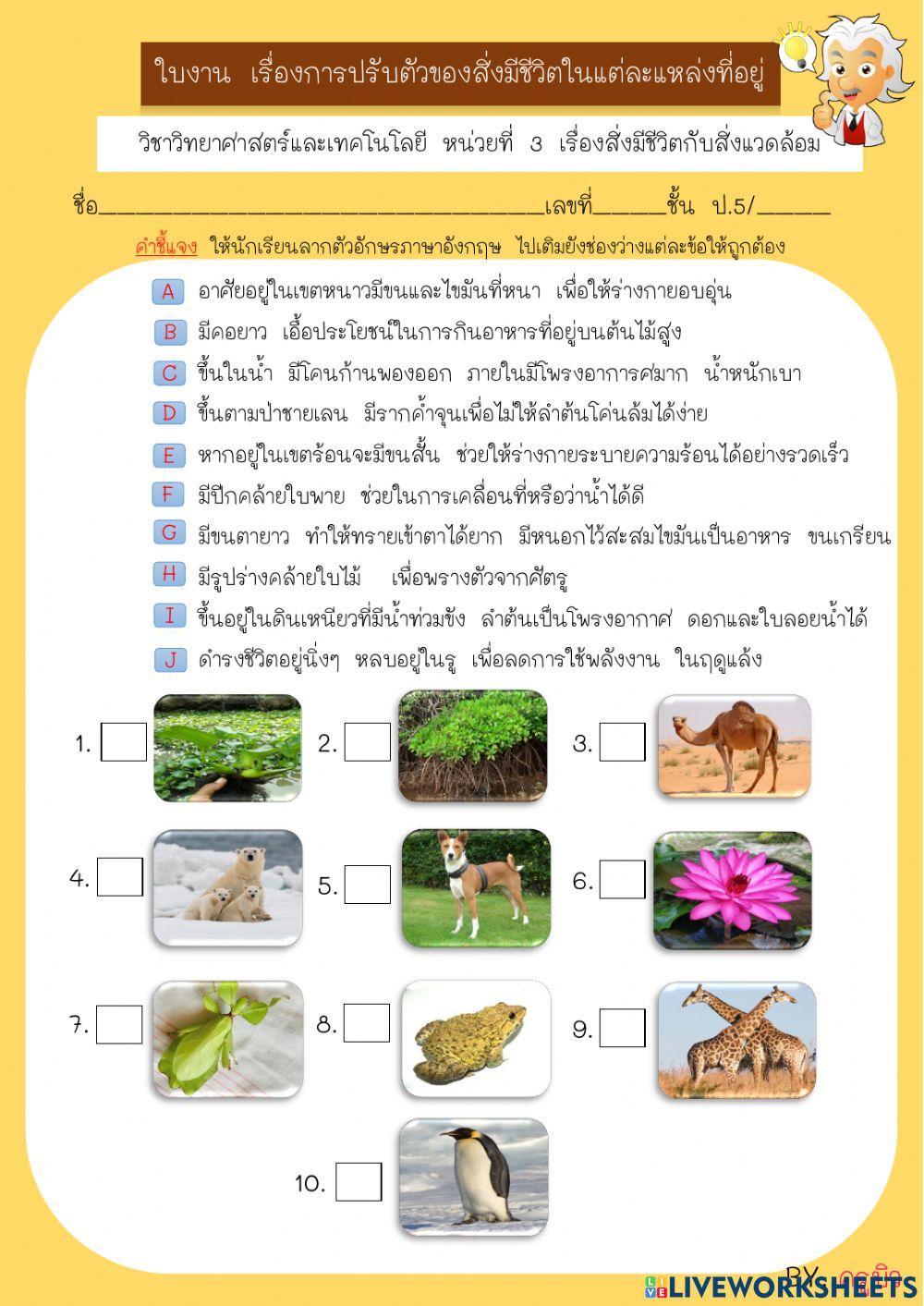 ใบงานการปรับตัวของสิ่งมีชีวิตในแหล่งที่อยู่อาศัย