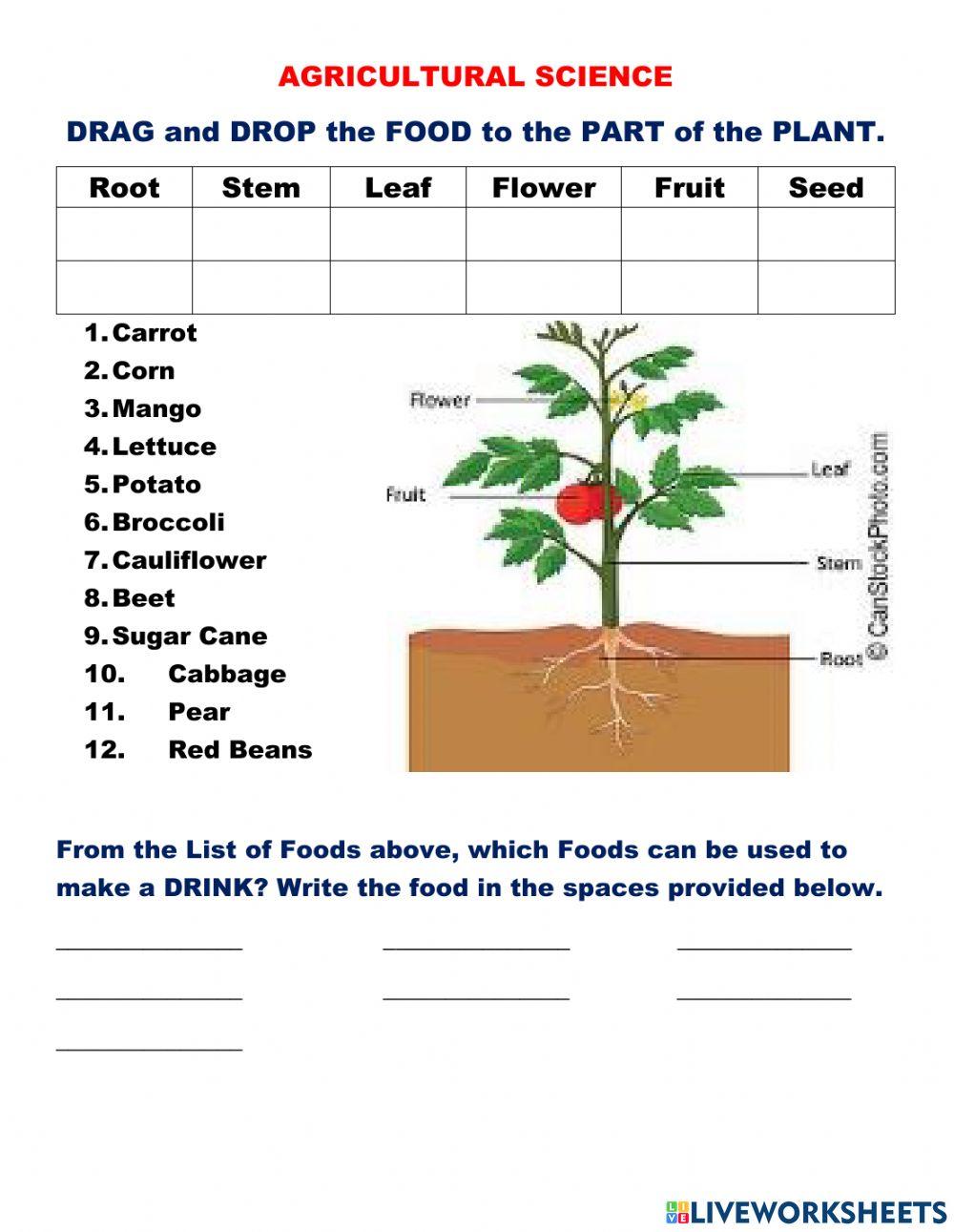 Foods from Plants