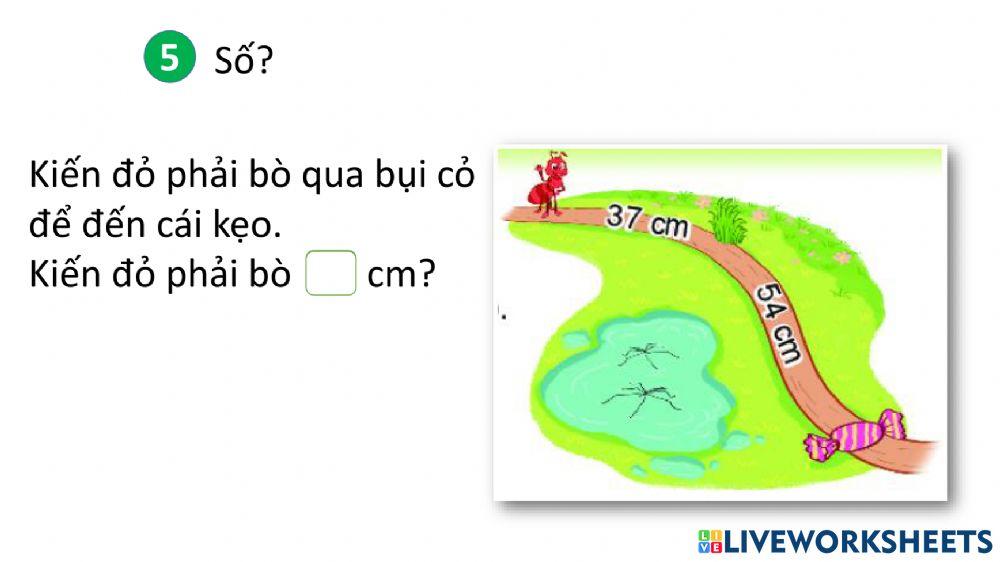 Toán tuần 11 tiết 1