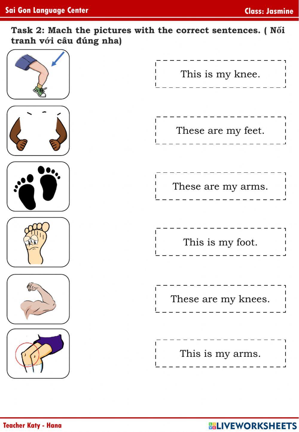Popodoo A3 Mussel + Octopus