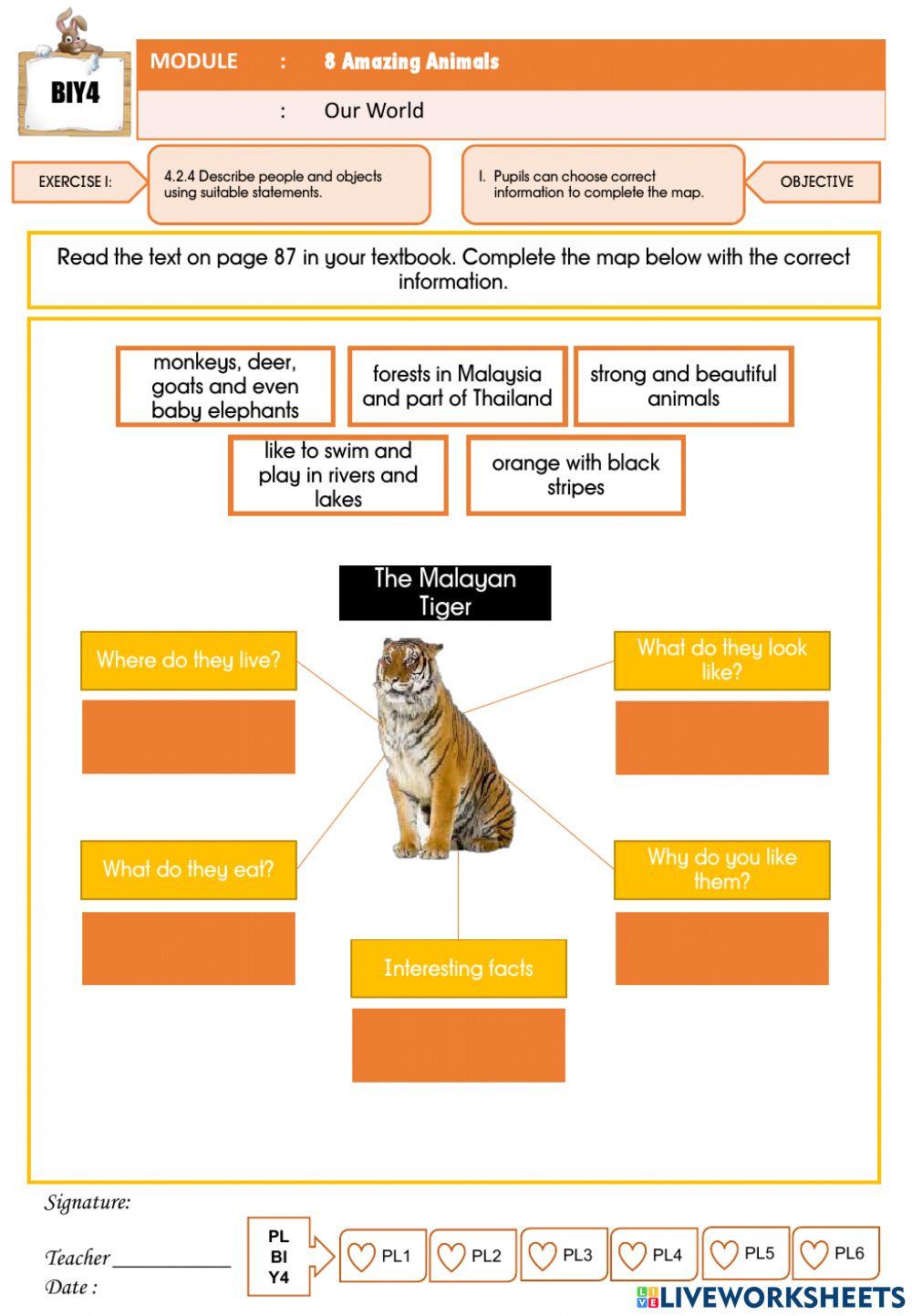 8-11 Year 4 Module 8