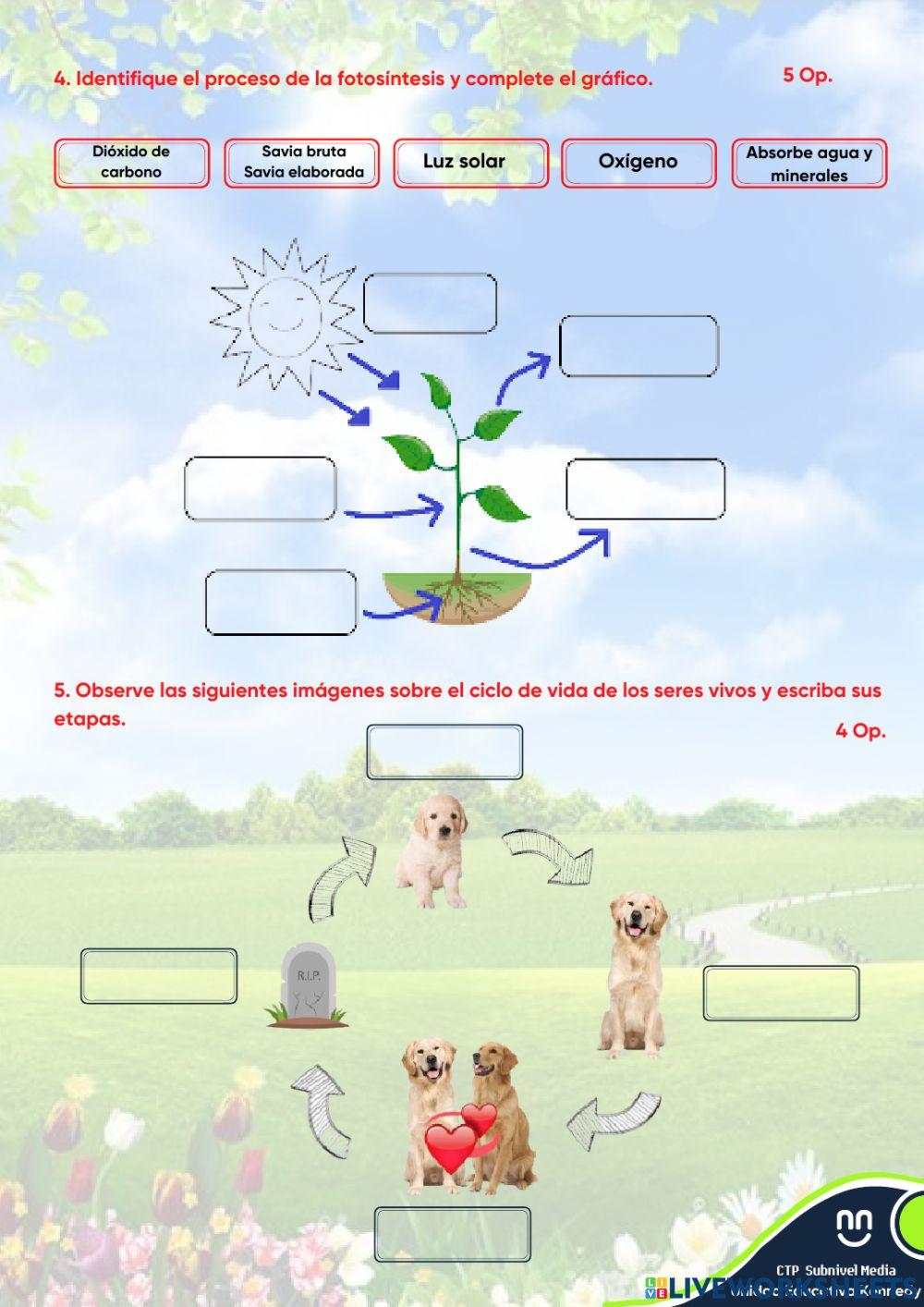 UE KENNEDY Evaluación 1P Ciencias Naturales