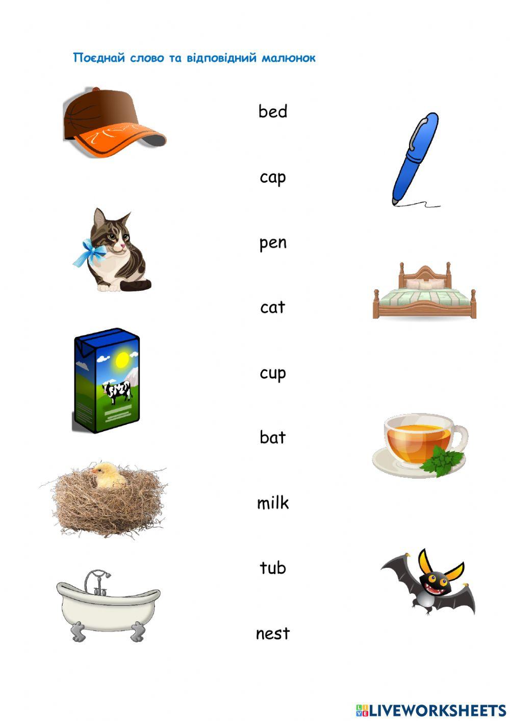 Basic vocabulary and abc