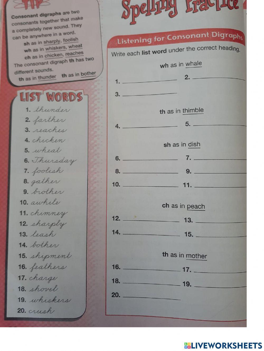 Spelling Workout pg. 38