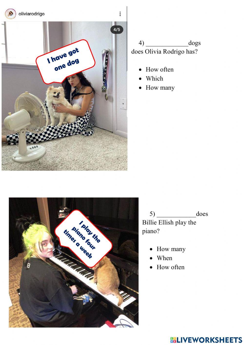 Wh Questions Written Practice