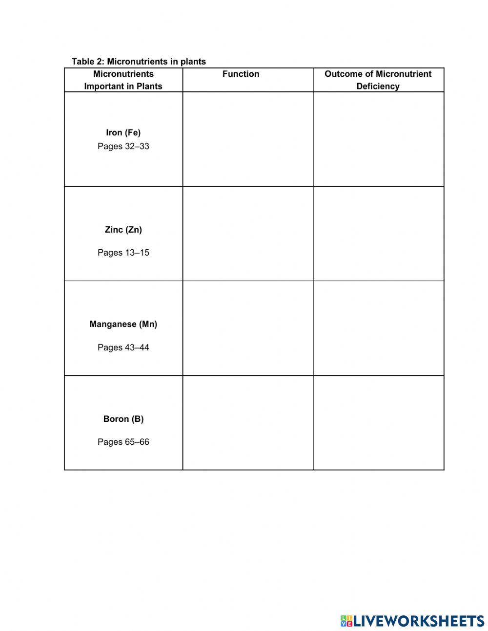 Life Does not Live by Bread Alone: