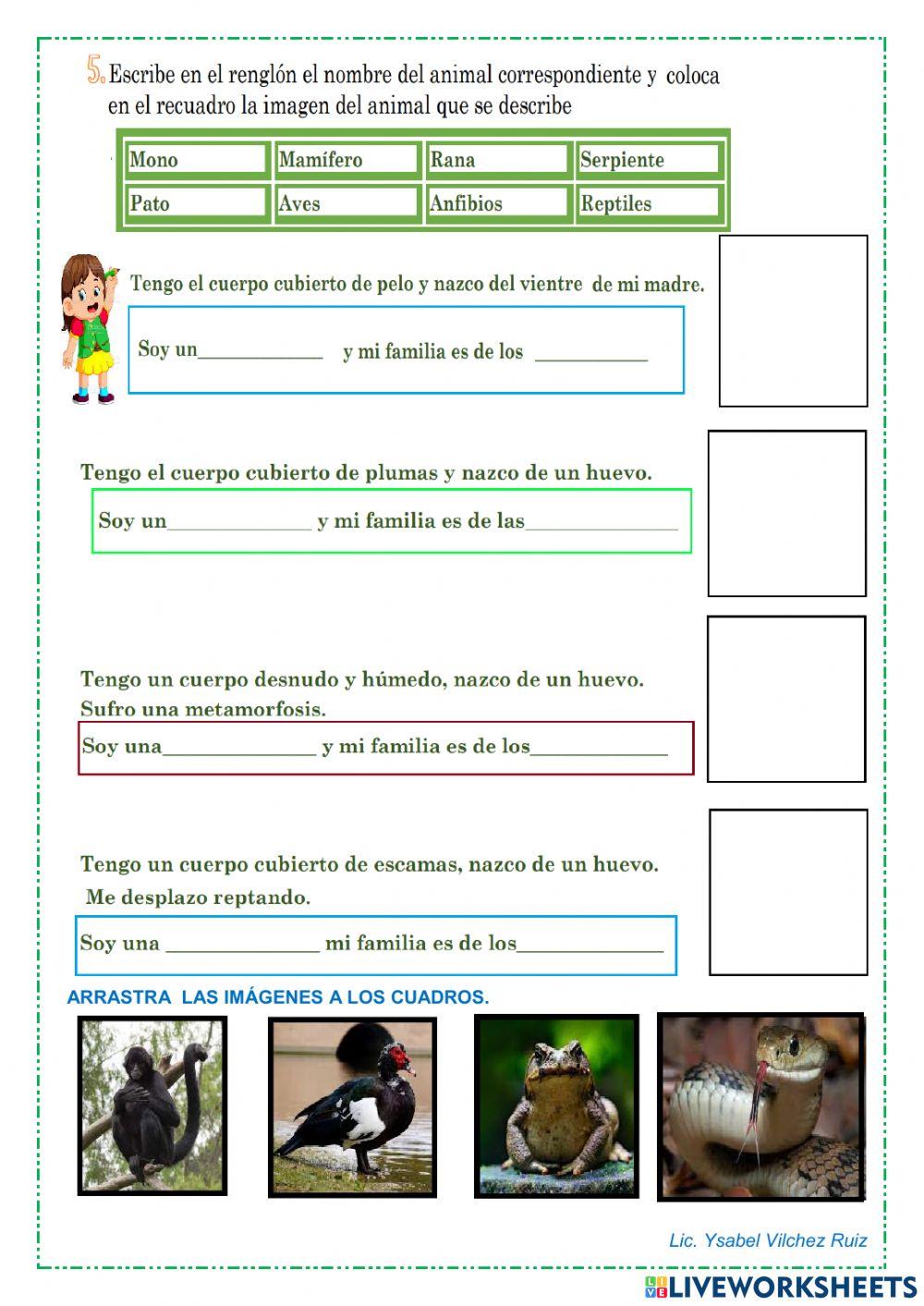 Animales ovíparos y vivíparos