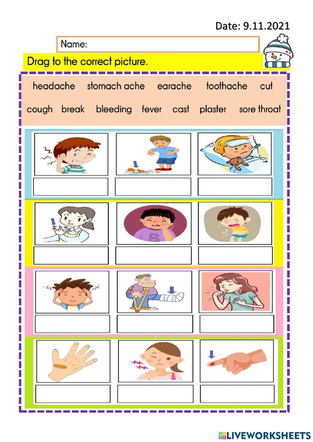 Year 4 module 10 vocab