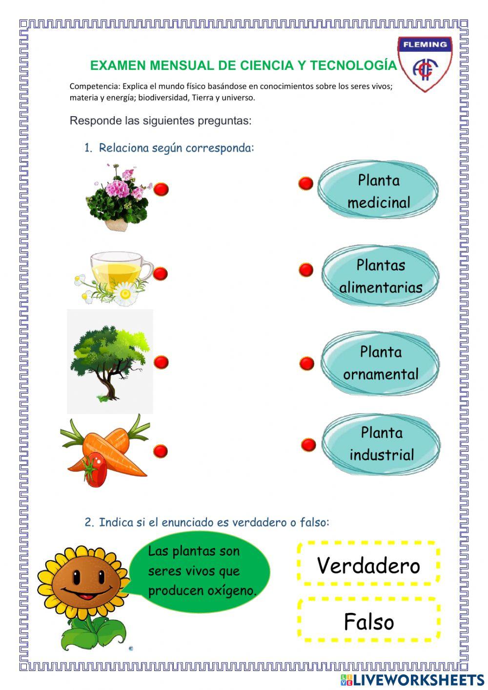 Examen Ciencia y Tecnología