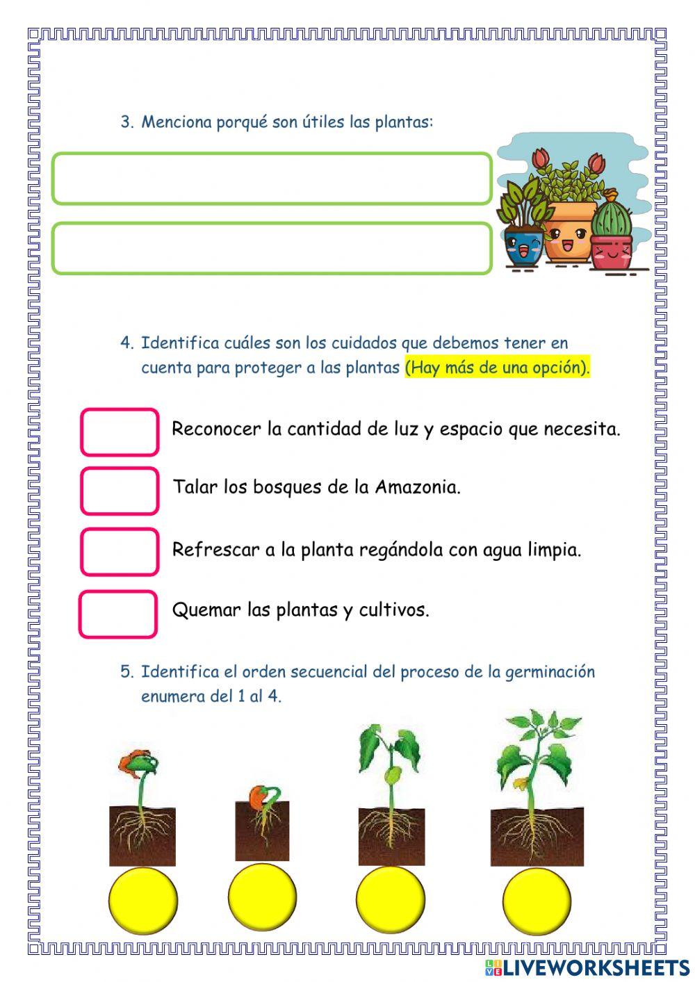Examen Ciencia y Tecnología