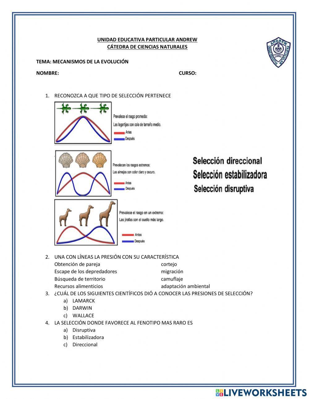 Mecanismos de la evolución