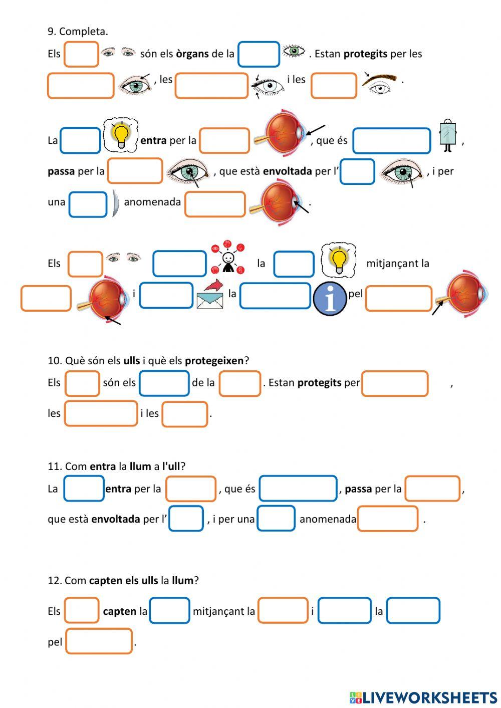 Els sentits. La vista