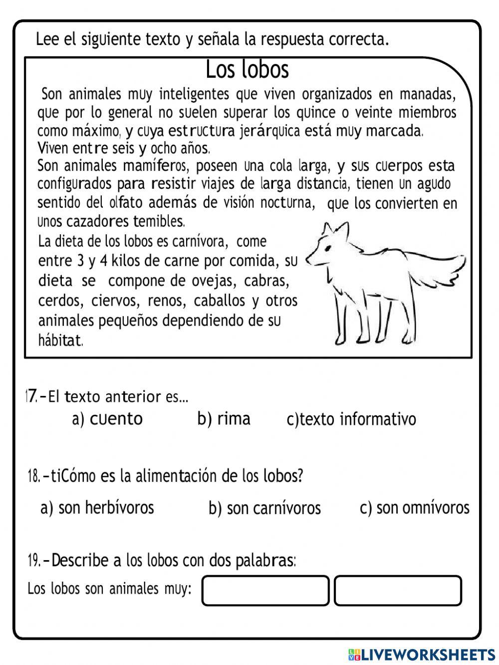 Español Lengua materna