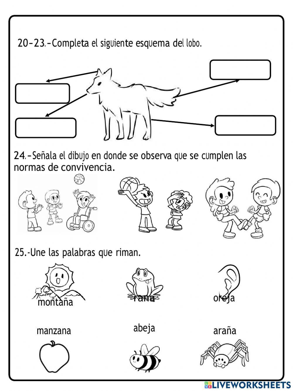 Español Lengua materna