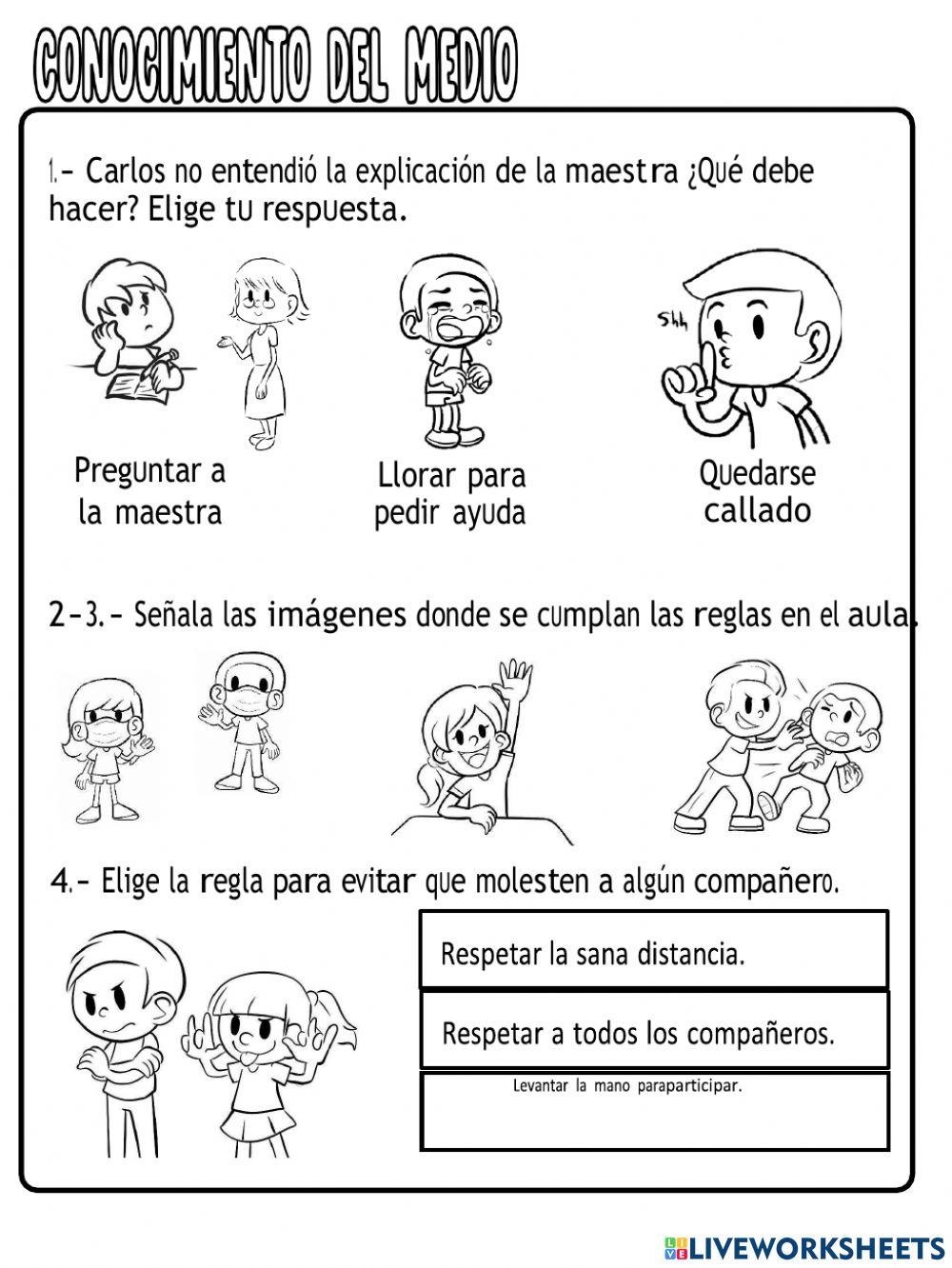 Evaluacion 1° trimestre