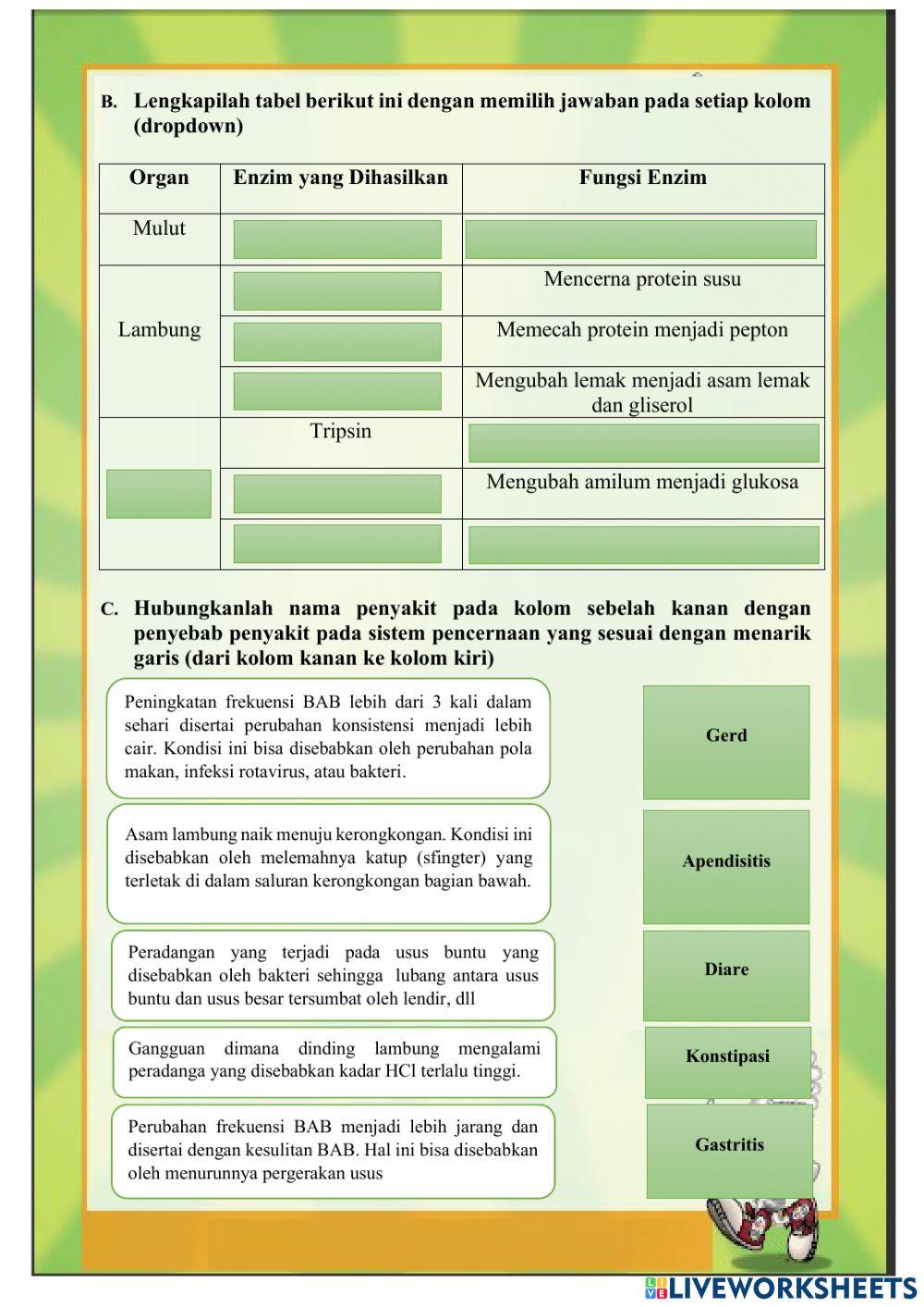 Sistem Pencernaan Manusia