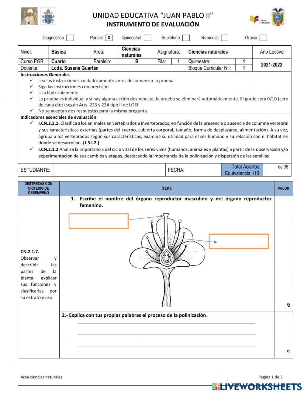 Evaluación parcial 1