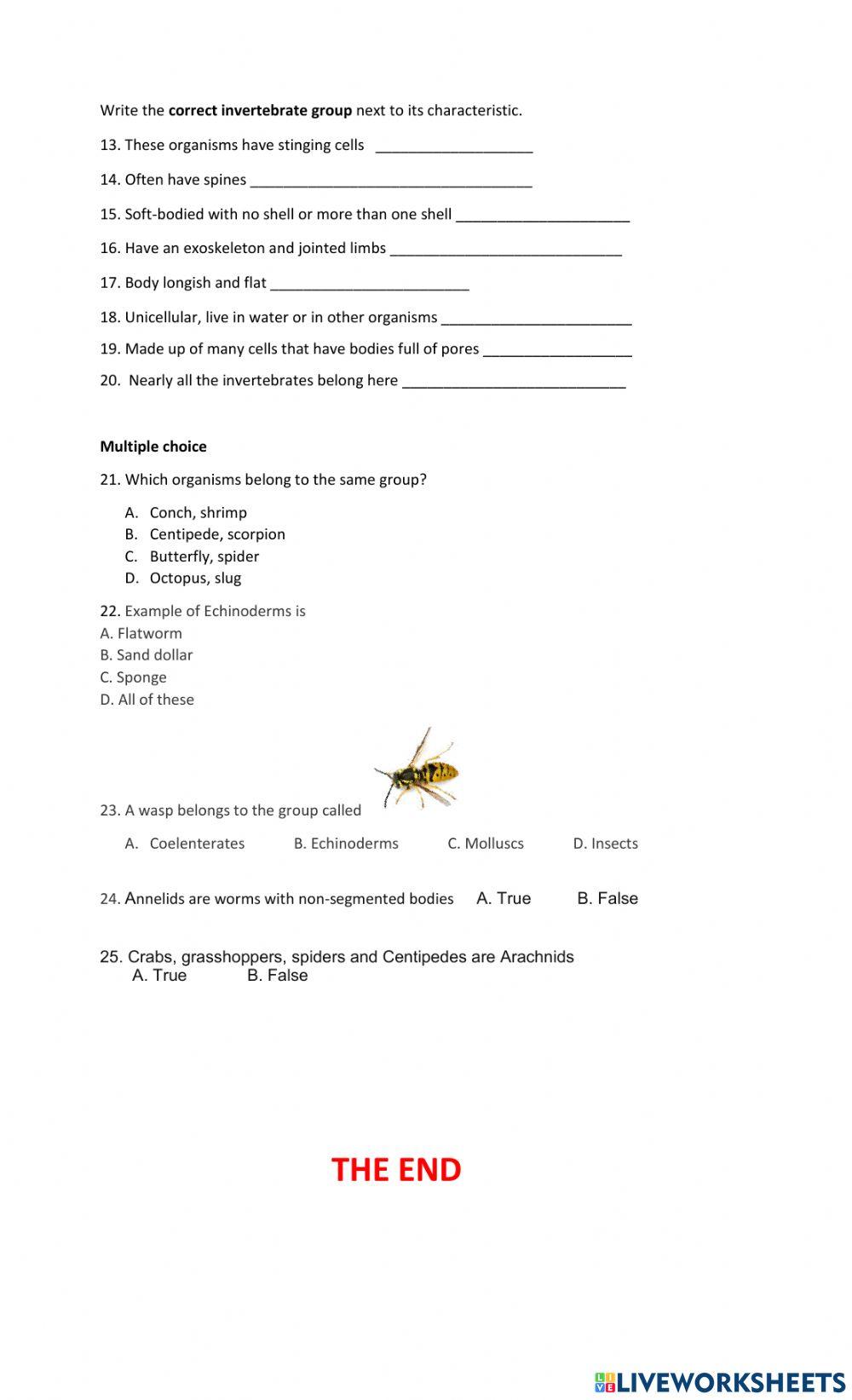 Classification and Invertebrates