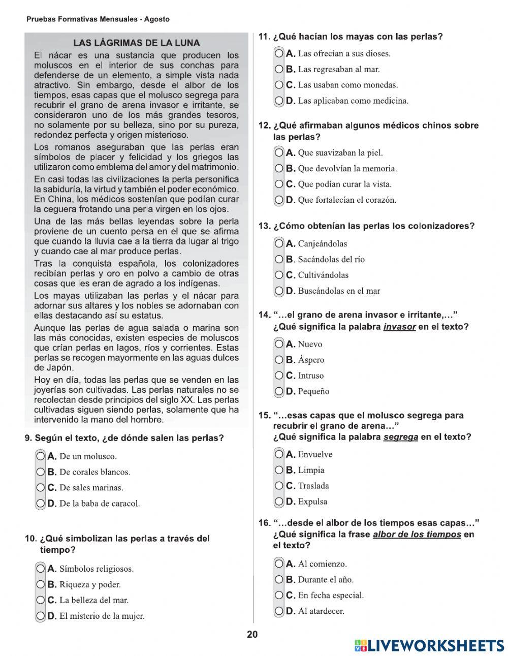 Pruebas formativas-español-séptimo grado
