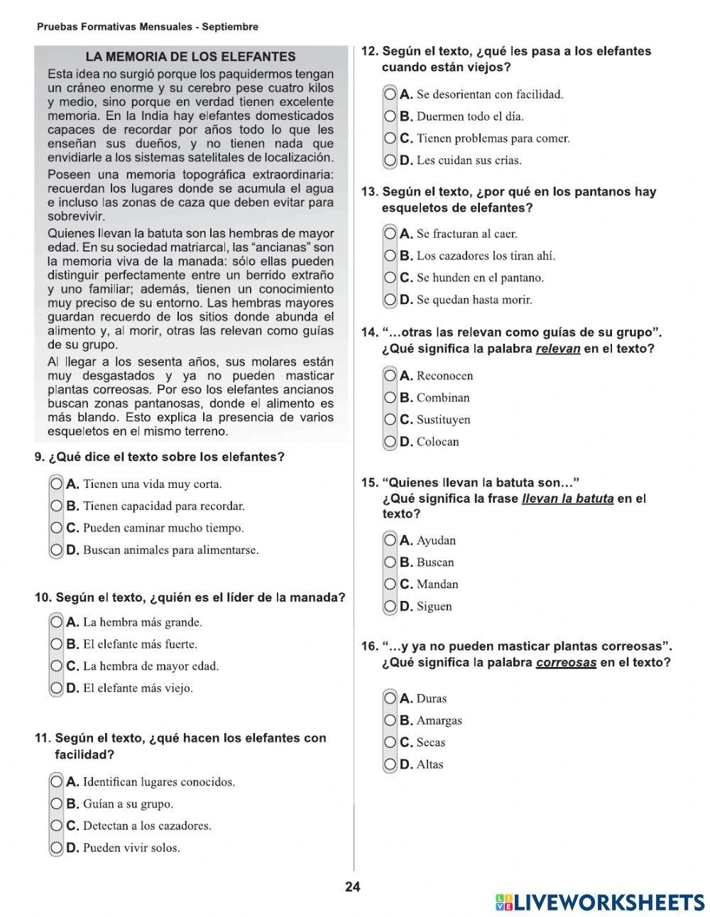 Pruebas formativas-español-séptimo grado