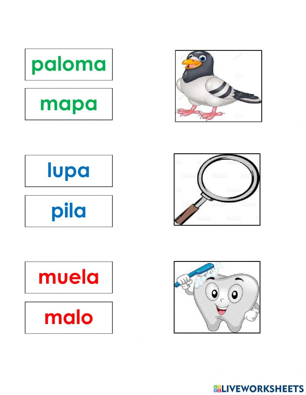 Une las palabras con su imagen