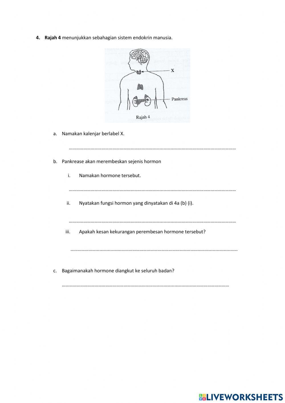 Ulangkaji sains svm 1