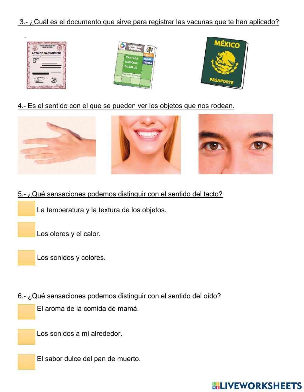 Evaluación  parcial