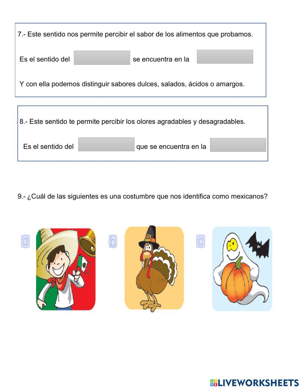 Evaluación  parcial