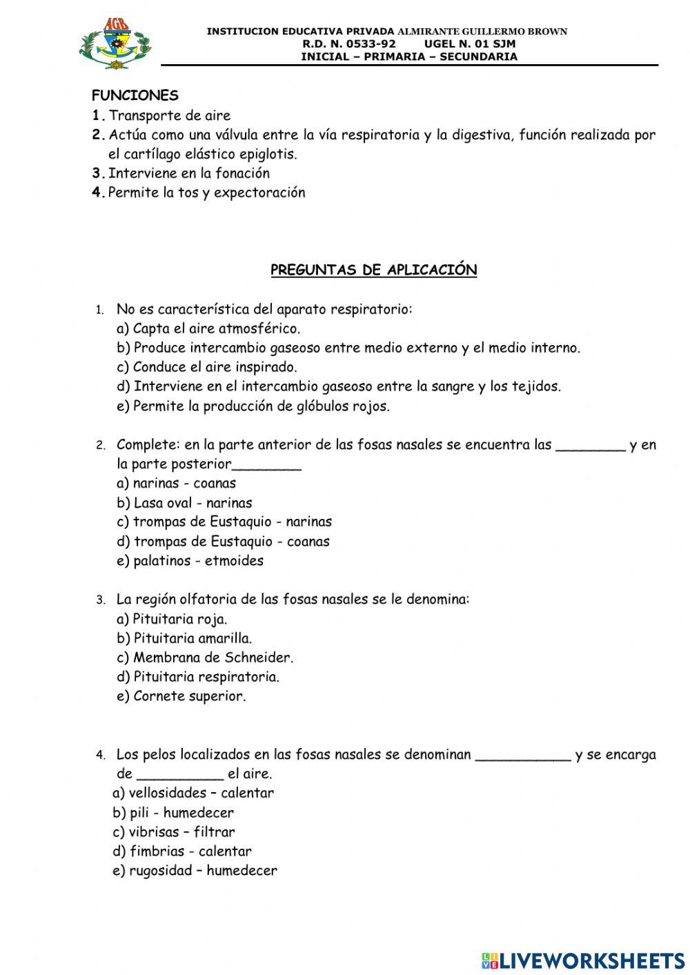 Aparato respiratorio