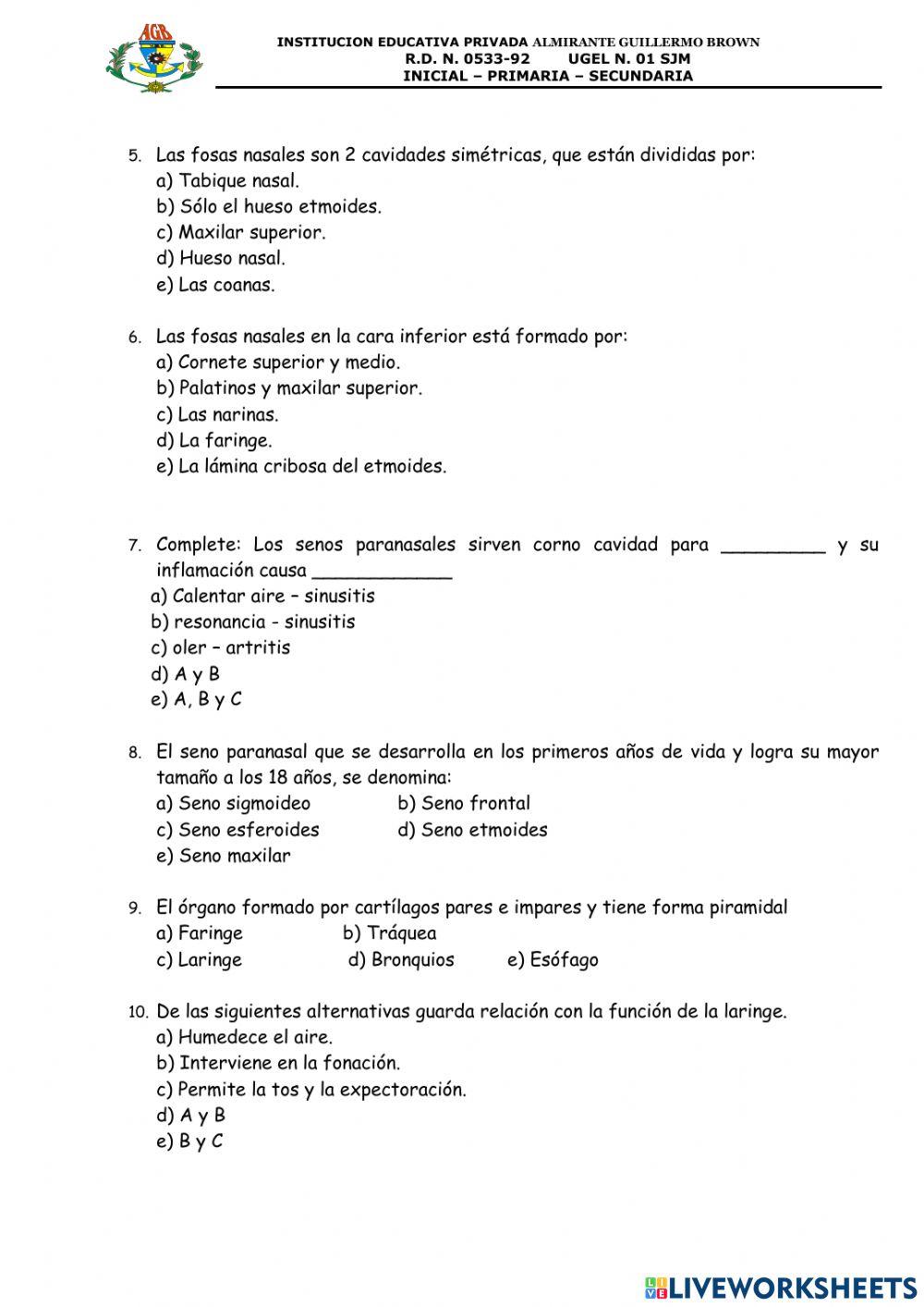 Aparato respiratorio