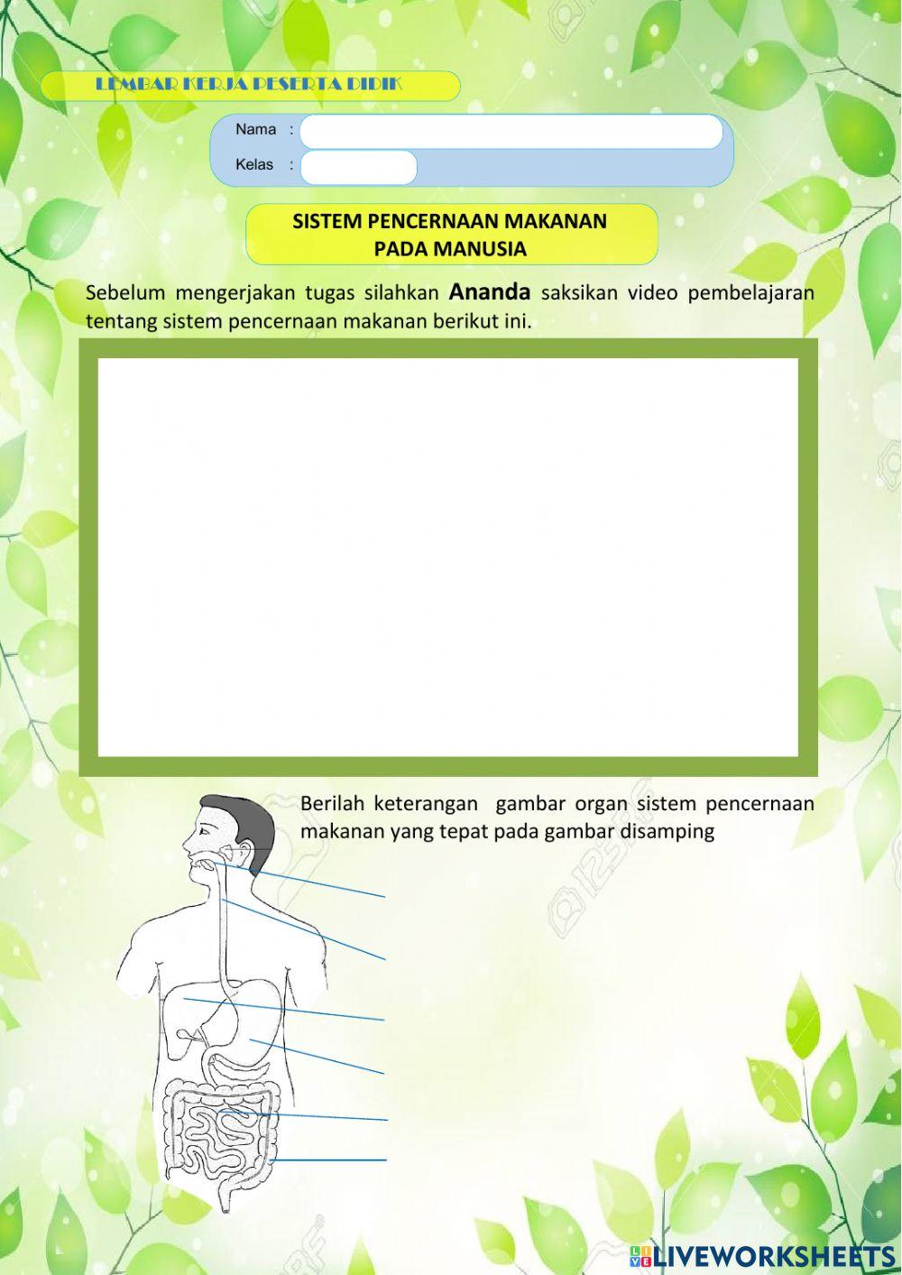 Tugas Sistem Pencernaan Makanan