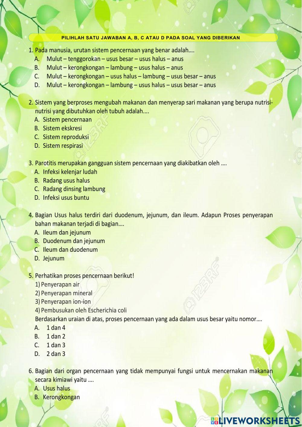 Tugas Sistem Pencernaan Makanan