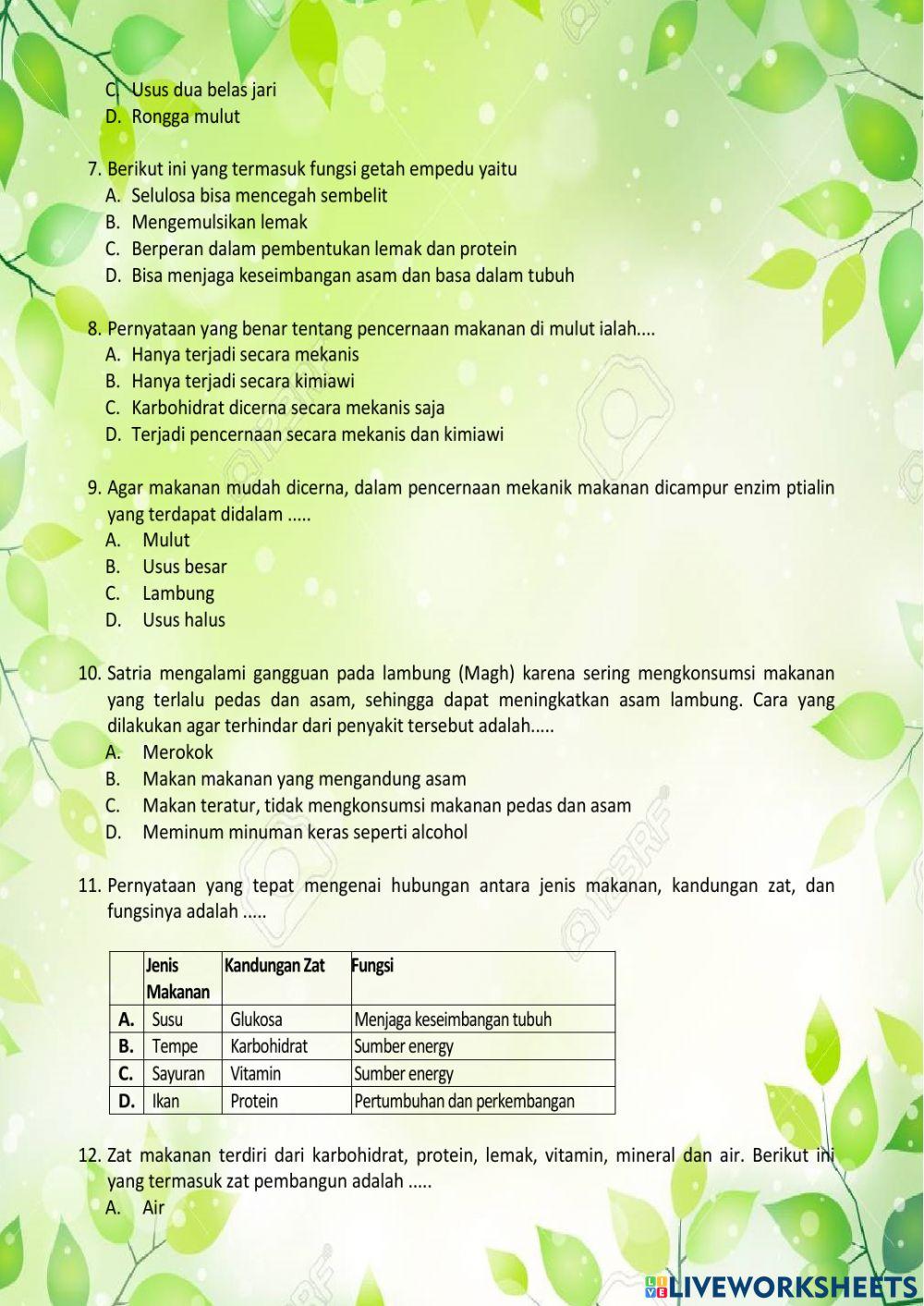 Tugas Sistem Pencernaan Makanan