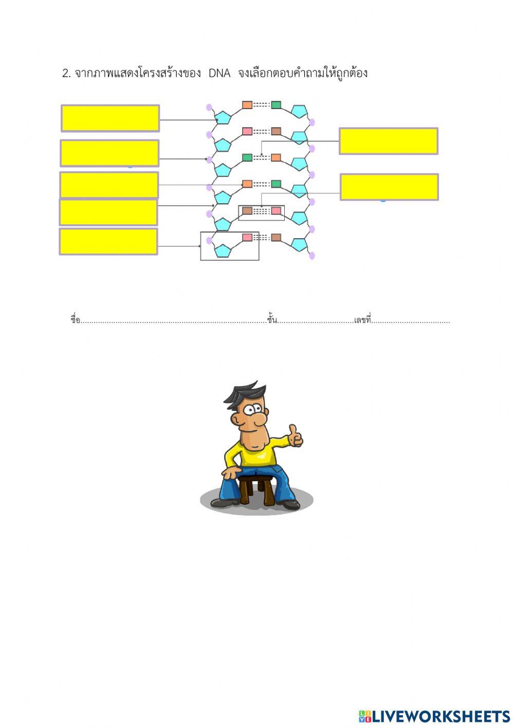 ใบงานเรื่องสารพันธุกรรม