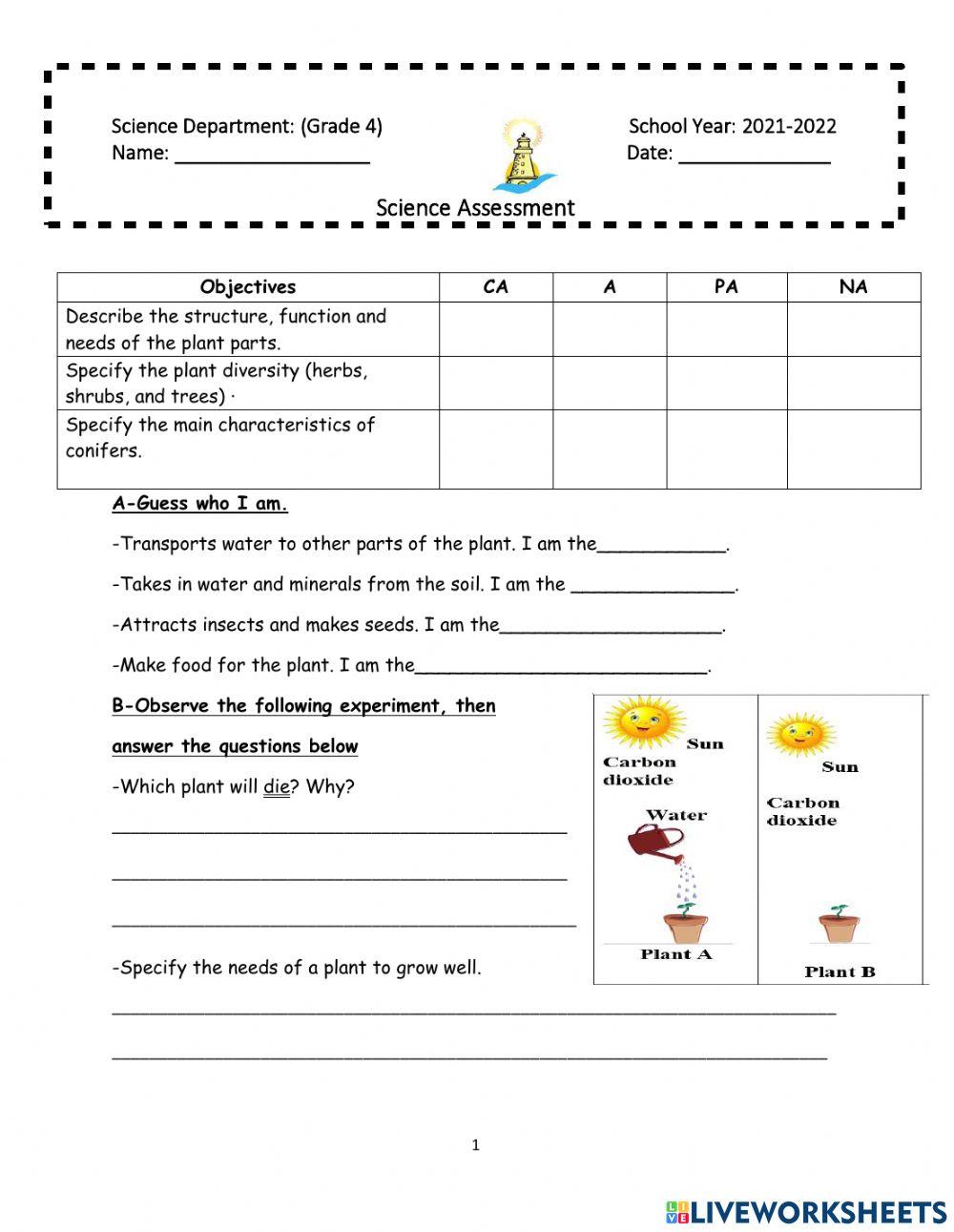 Formative Assessment Grade 4