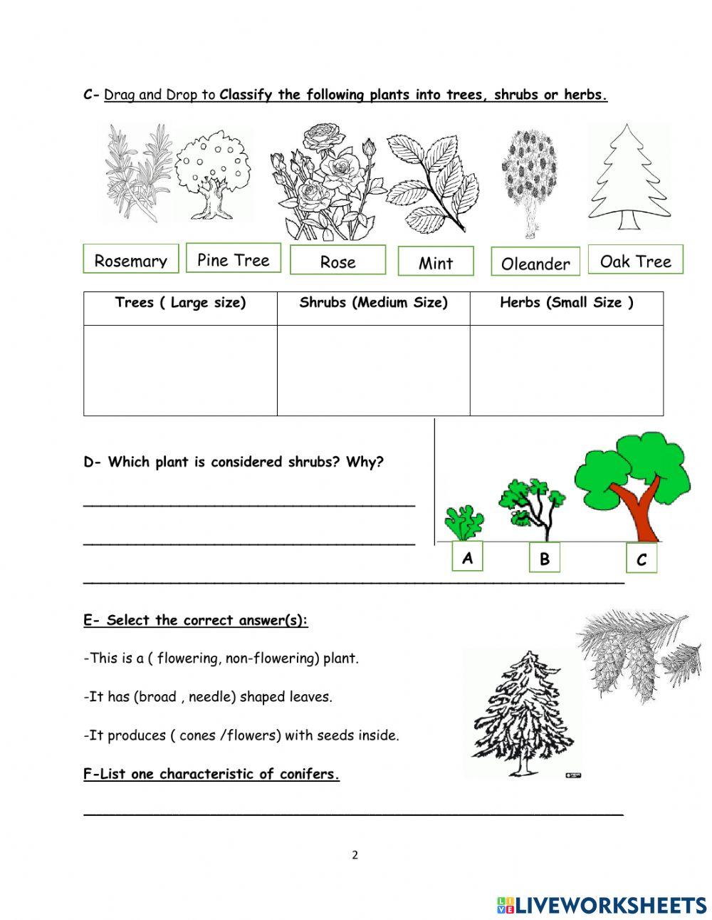 Formative Assessment Grade 4