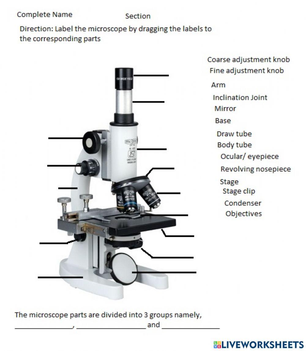Parts of a microscope worksheet