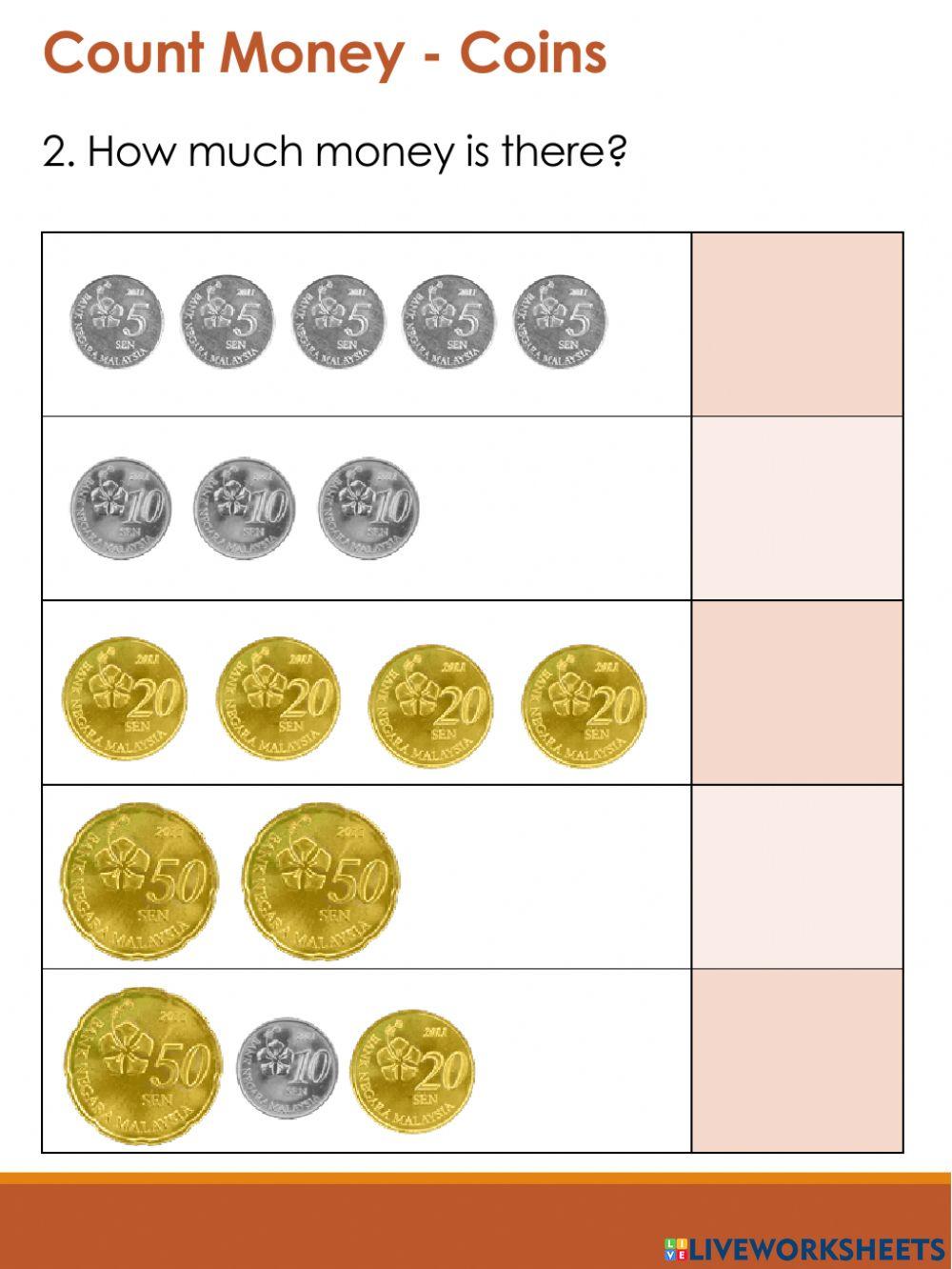 Counting Coins (Malaysian Money)