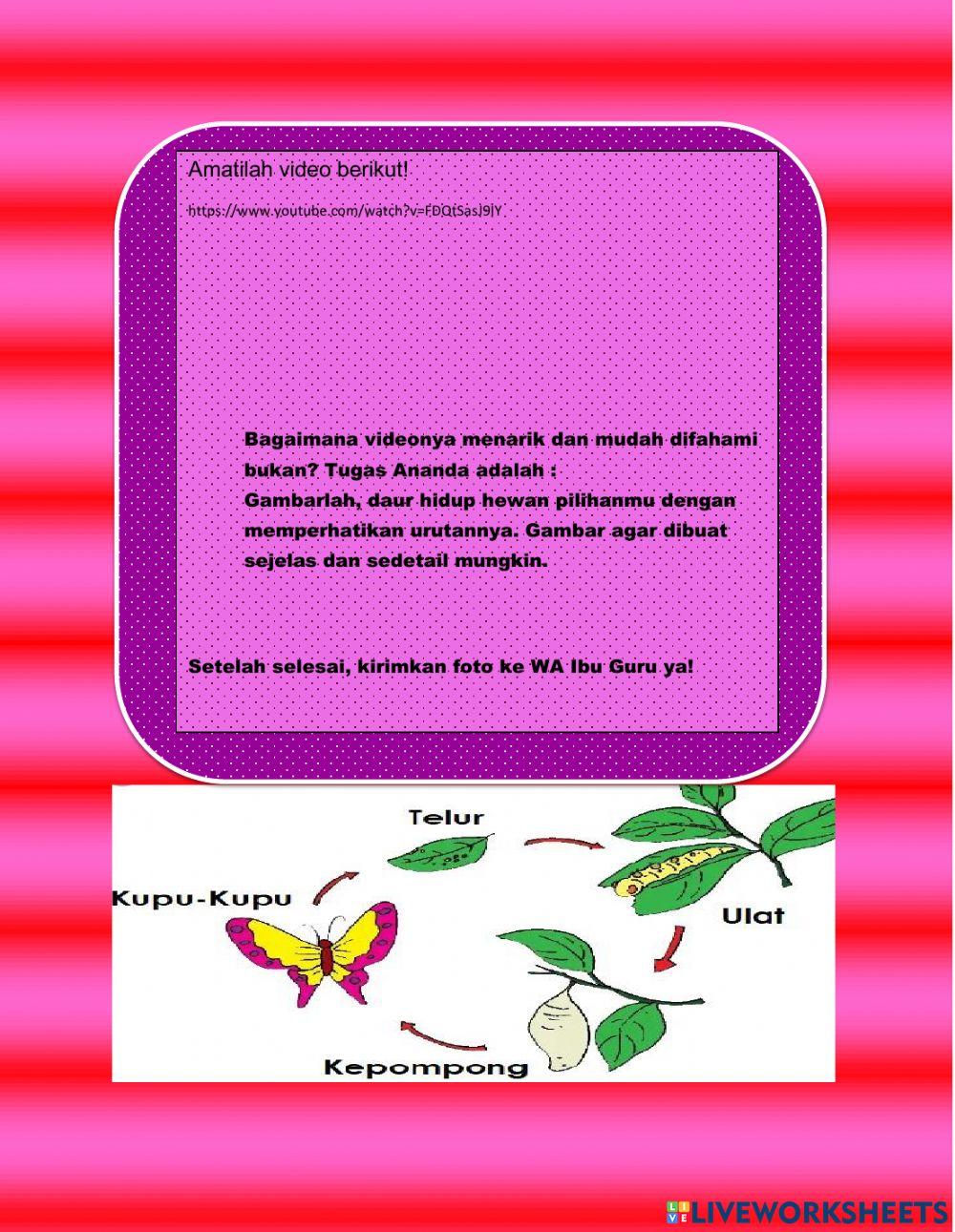 Lkpd kelas 5 tema 5 subtema 1 pb6