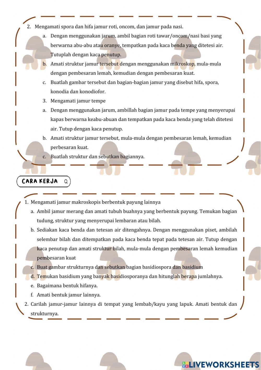 Petunjuk Praktikum Jamur