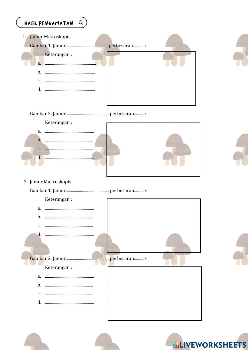 Petunjuk Praktikum Jamur